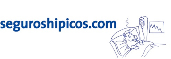 Seguros para jinetes y amazonas