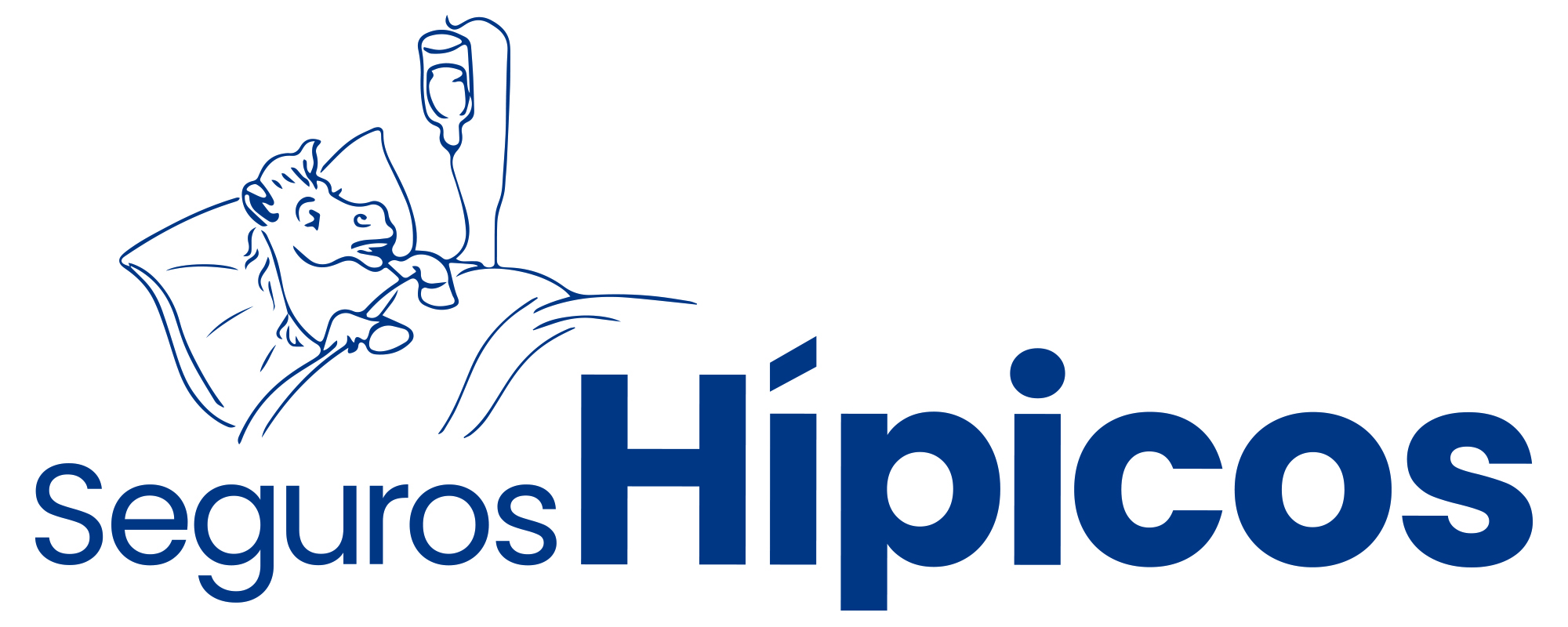 logo – web – julio 2024